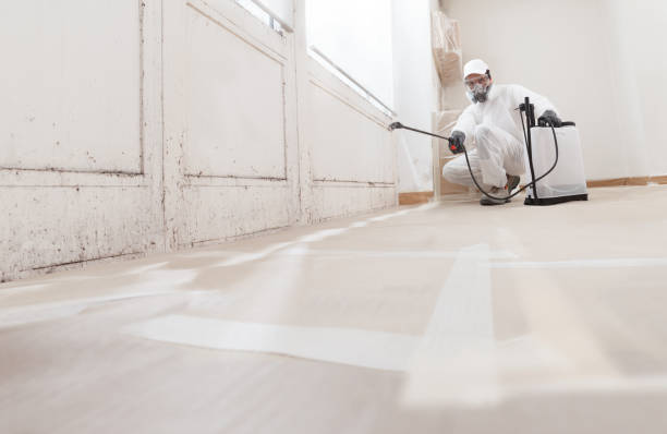 24/7 Emergency Mold Removal experts in Horsham, PA